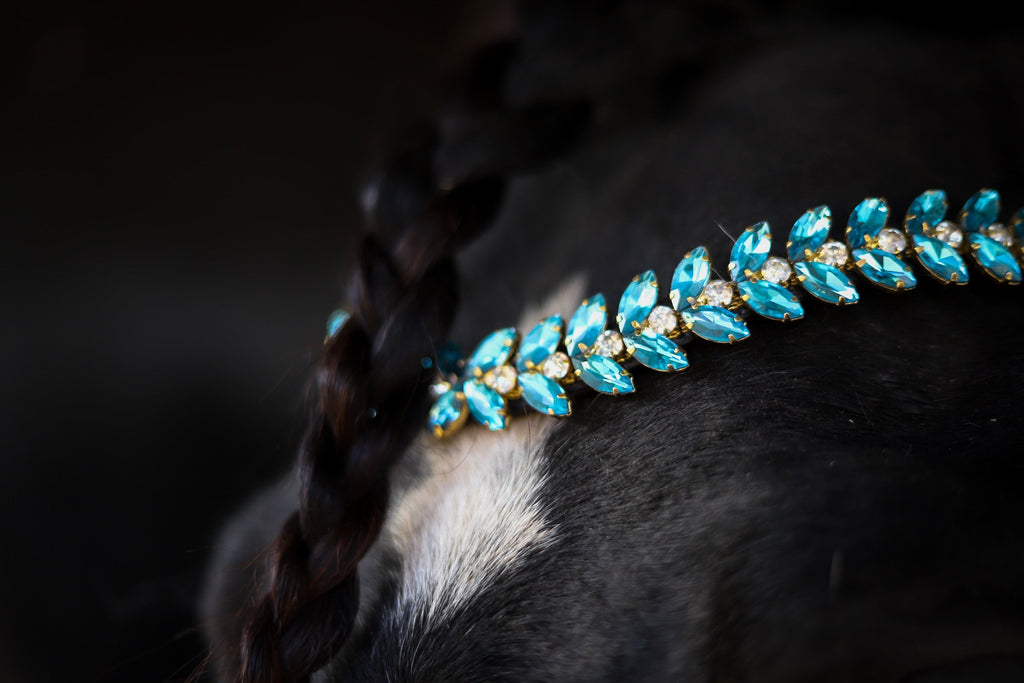 Iris browband with oval turquoise and clear crystals on black horse with braided mane