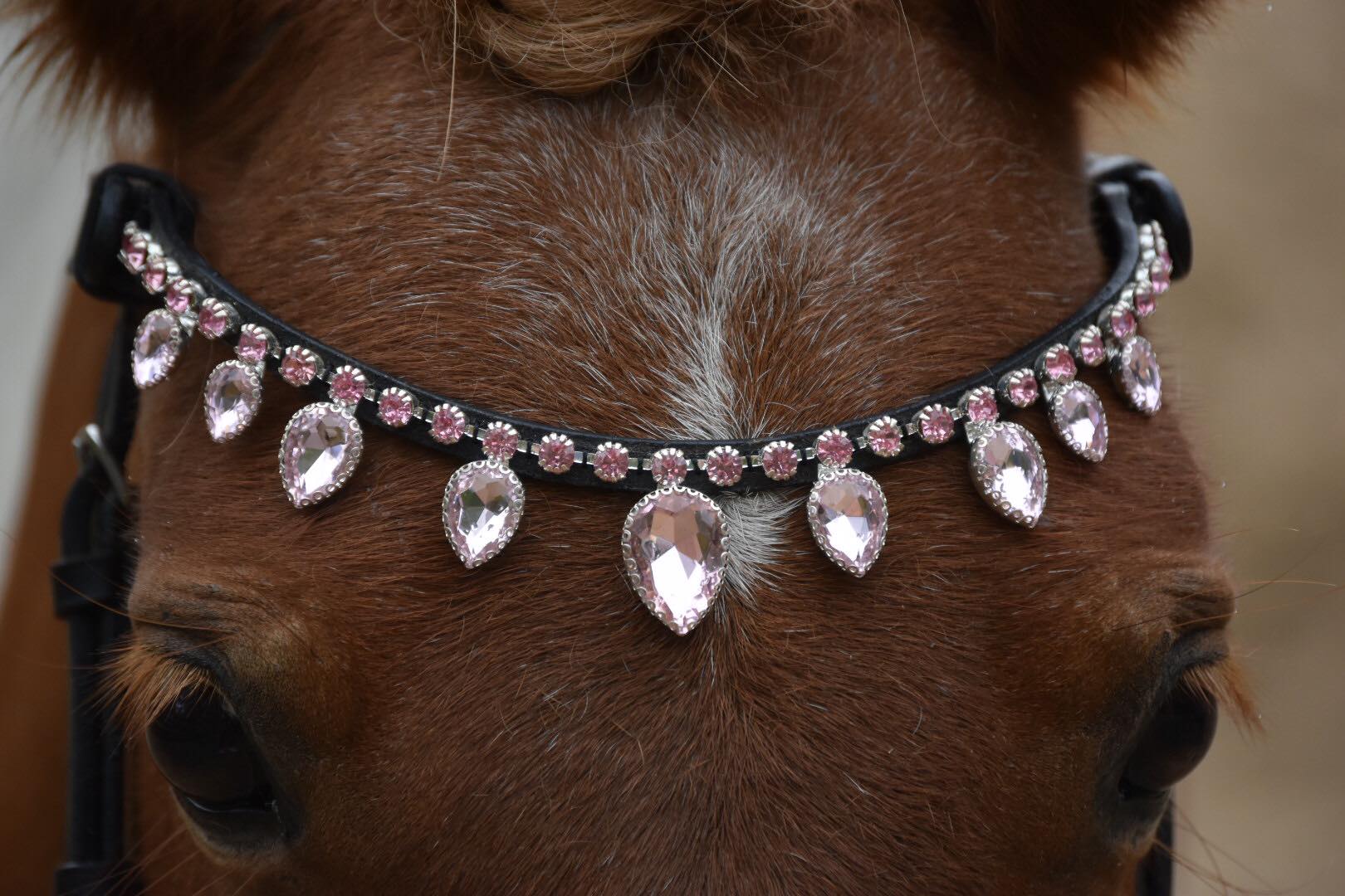Light pink Raindrop browband with large crystals on black leather for horses