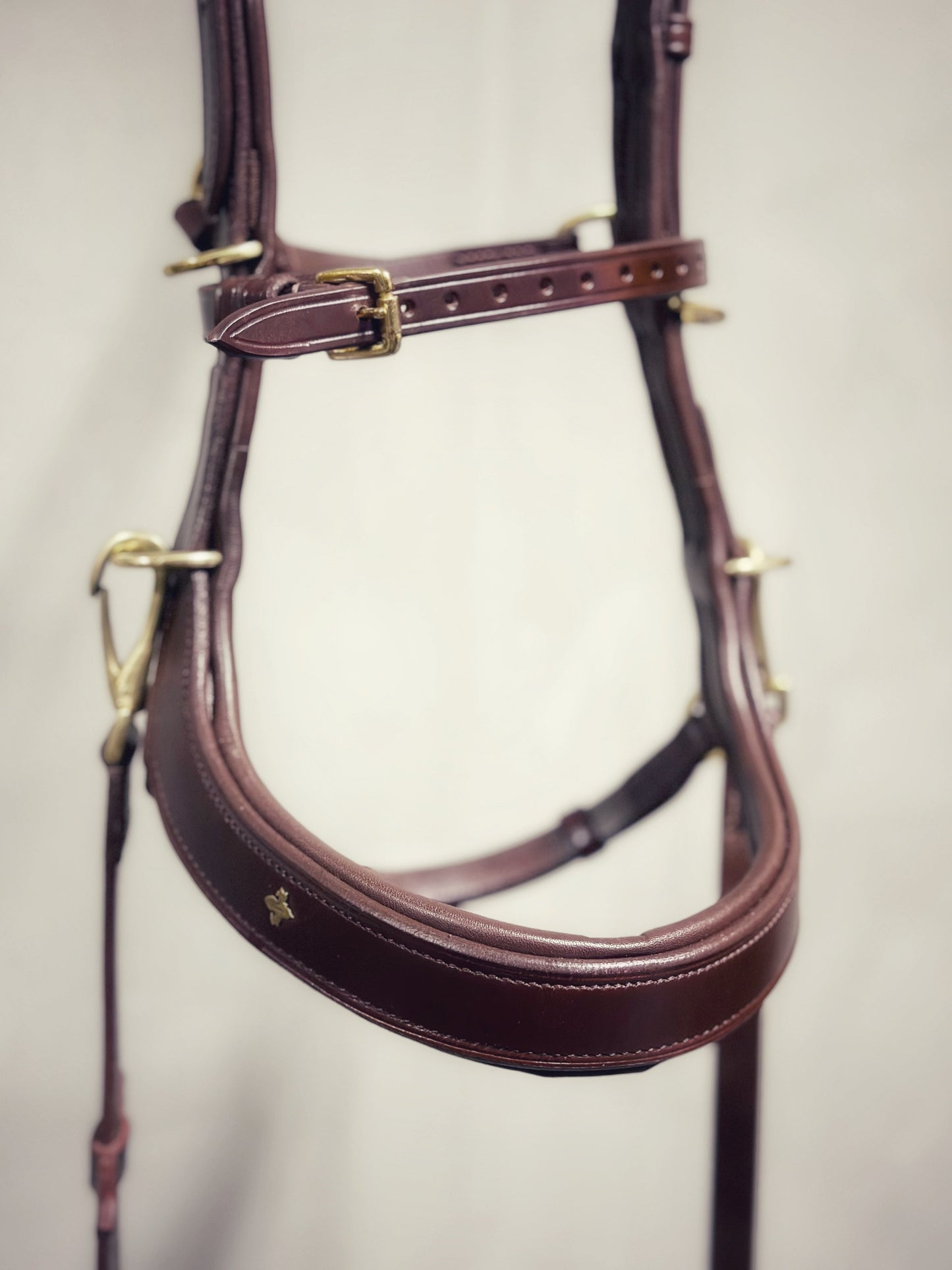 Lily multi bridle