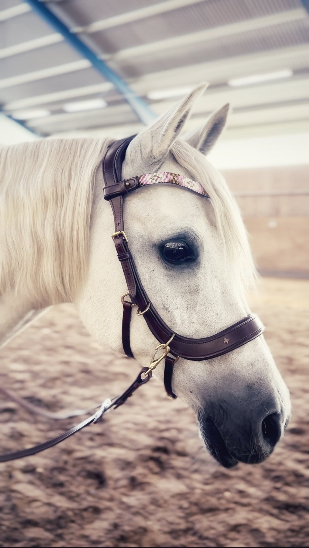 May browband