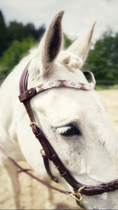 May browband