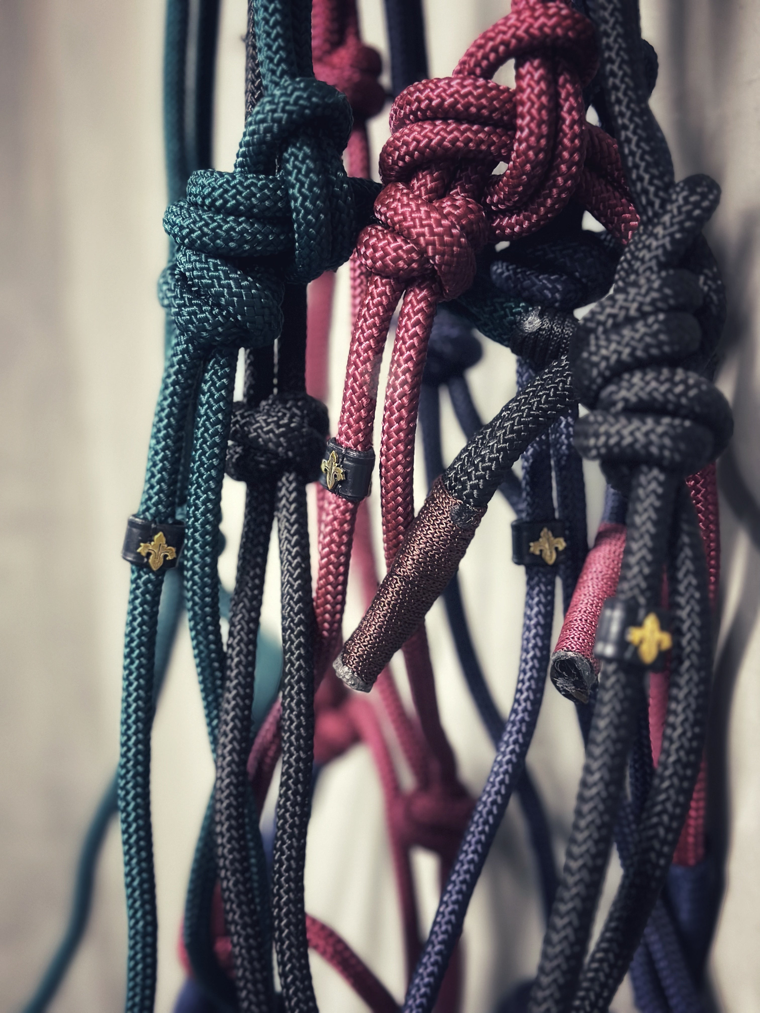 Nylon Nira ropehalter in multiple color combinations with sturdy knots for lunge, lead, or ride use