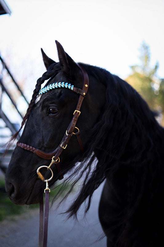 Odessa Bonita Multi bridle - Brasshooks for the bit