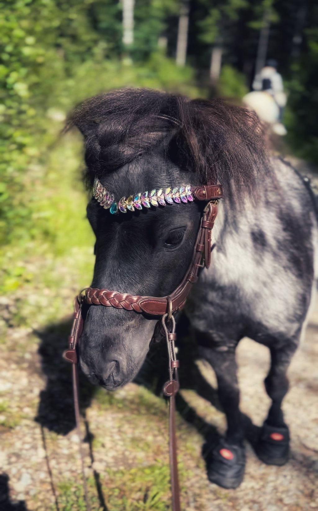 Odessa Bonita multi bridle - For the small ones - MASEGO bit to bitless system