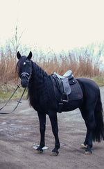 Load image into Gallery viewer, Onyx and Golden Brown satin dressage saddle pad - Full
