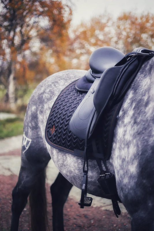 Onyx and Golden Brown satin dressage saddle pad - Full