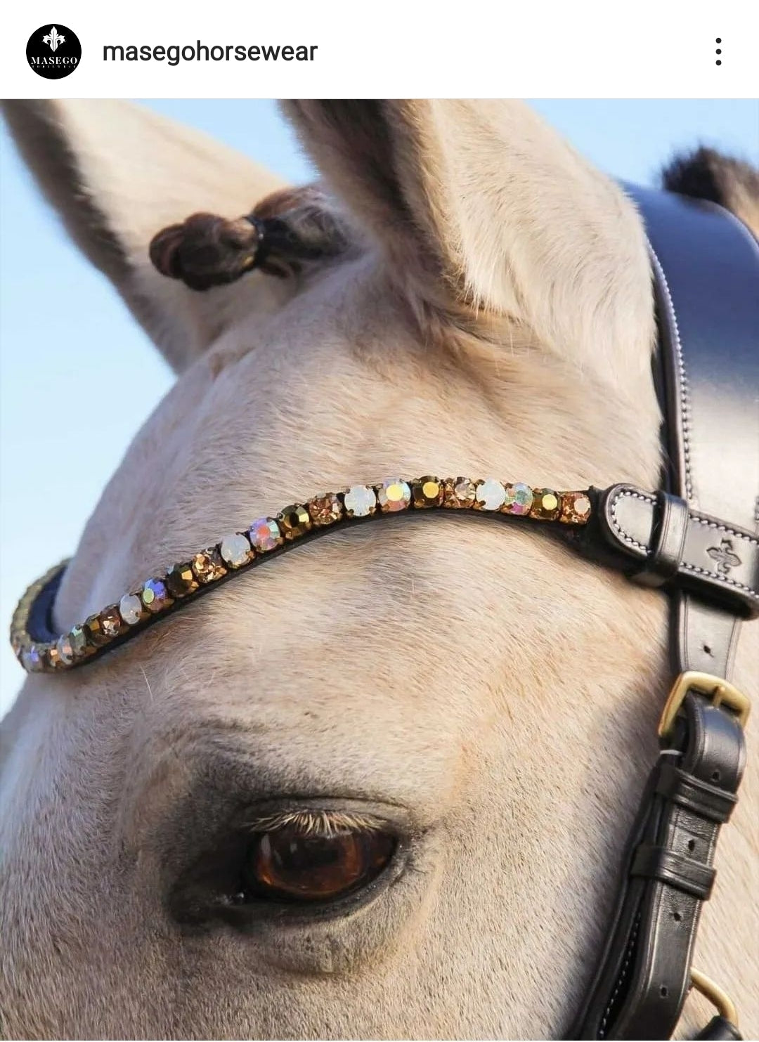 OUTGOING Golden Bridle - Cob / Black