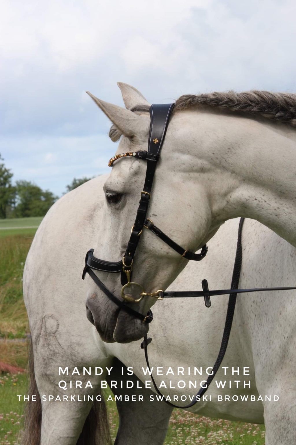 White horse wearing black Qira Bridle with brass logo and removable nose flash outdoors