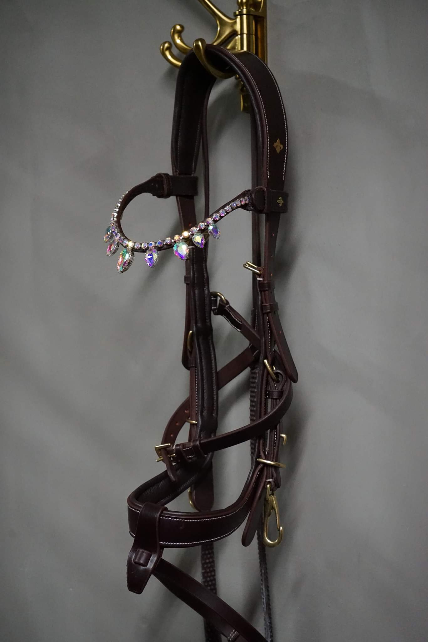 OUTGOING Qira Bridle