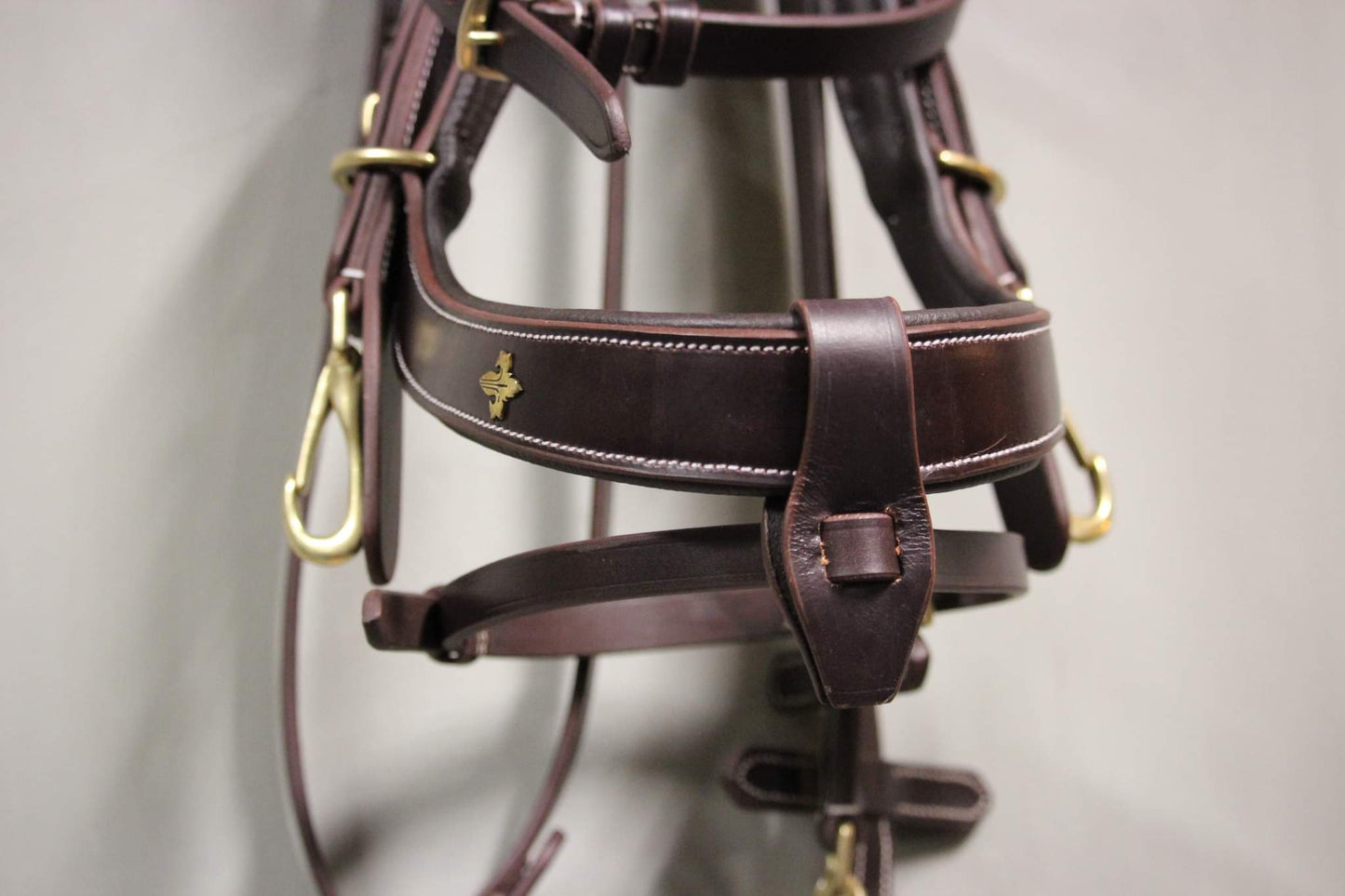 OUTGOING Qira Bridle