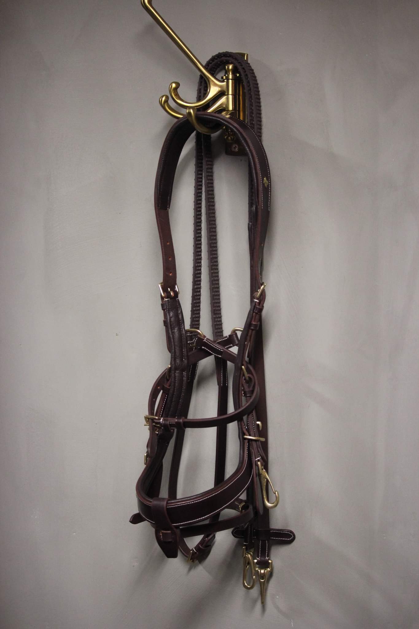 OUTGOING Qira Bridle