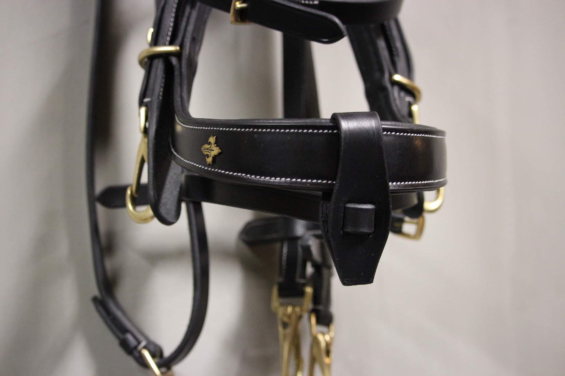 OUTGOING Qira Bridle