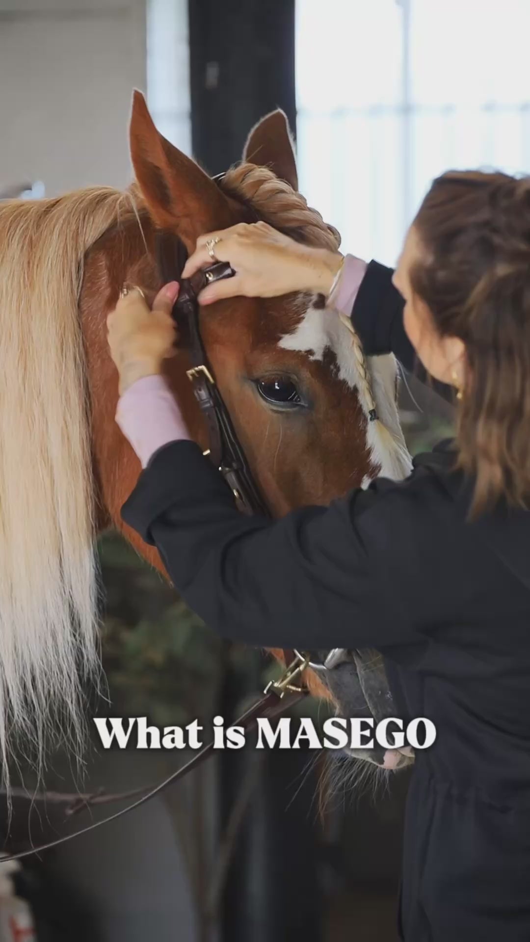 Odessa Bonita Multi bridle padded - MASEGO bit to bitless system - SILVER