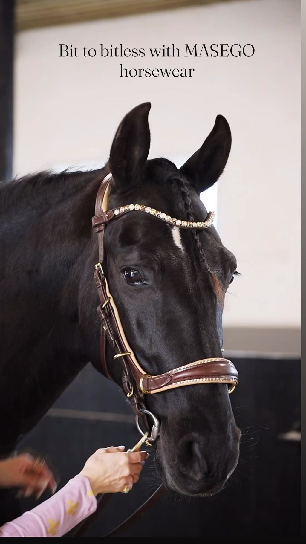 Spiritandhiscrew X MASEGO Multi bridle, bit to bitless system no.2