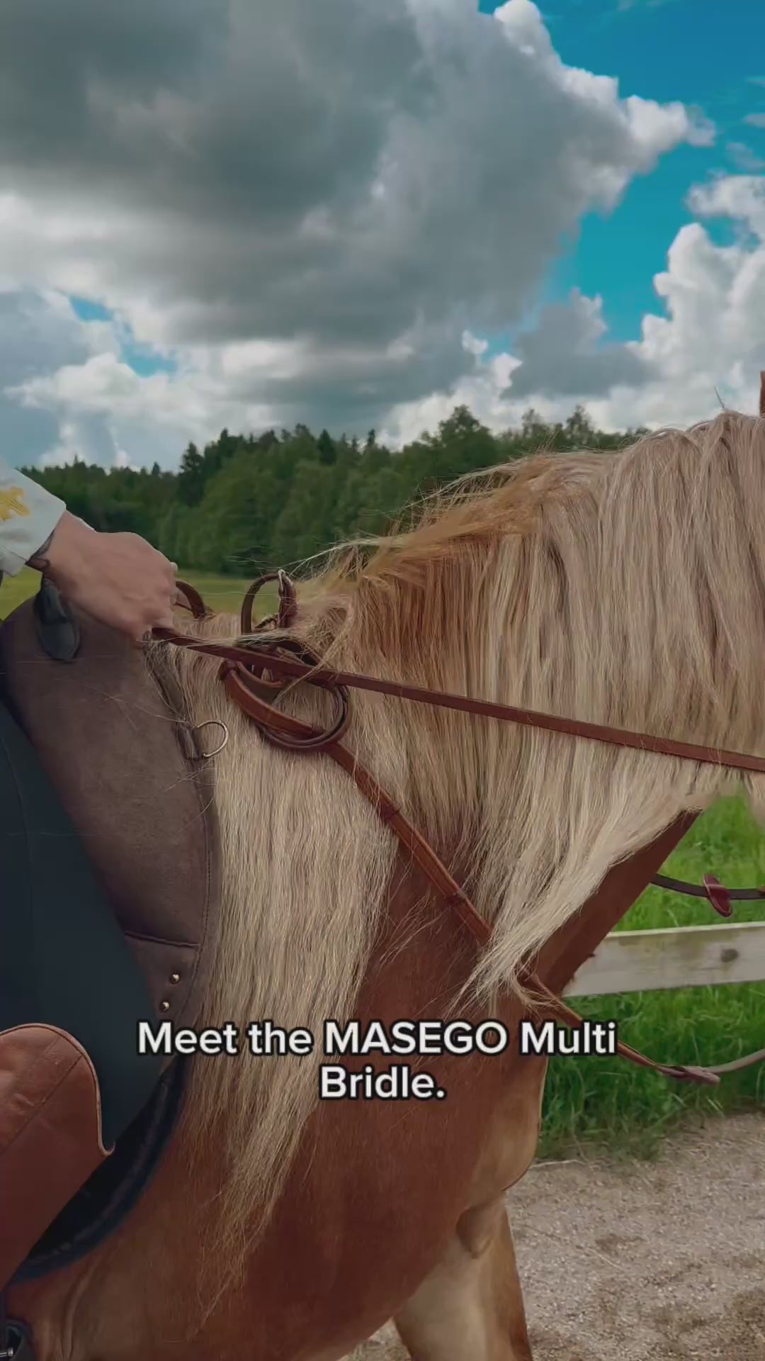 One of the many ways to use our Multi bridles - make a smooth transition from bit to bitless