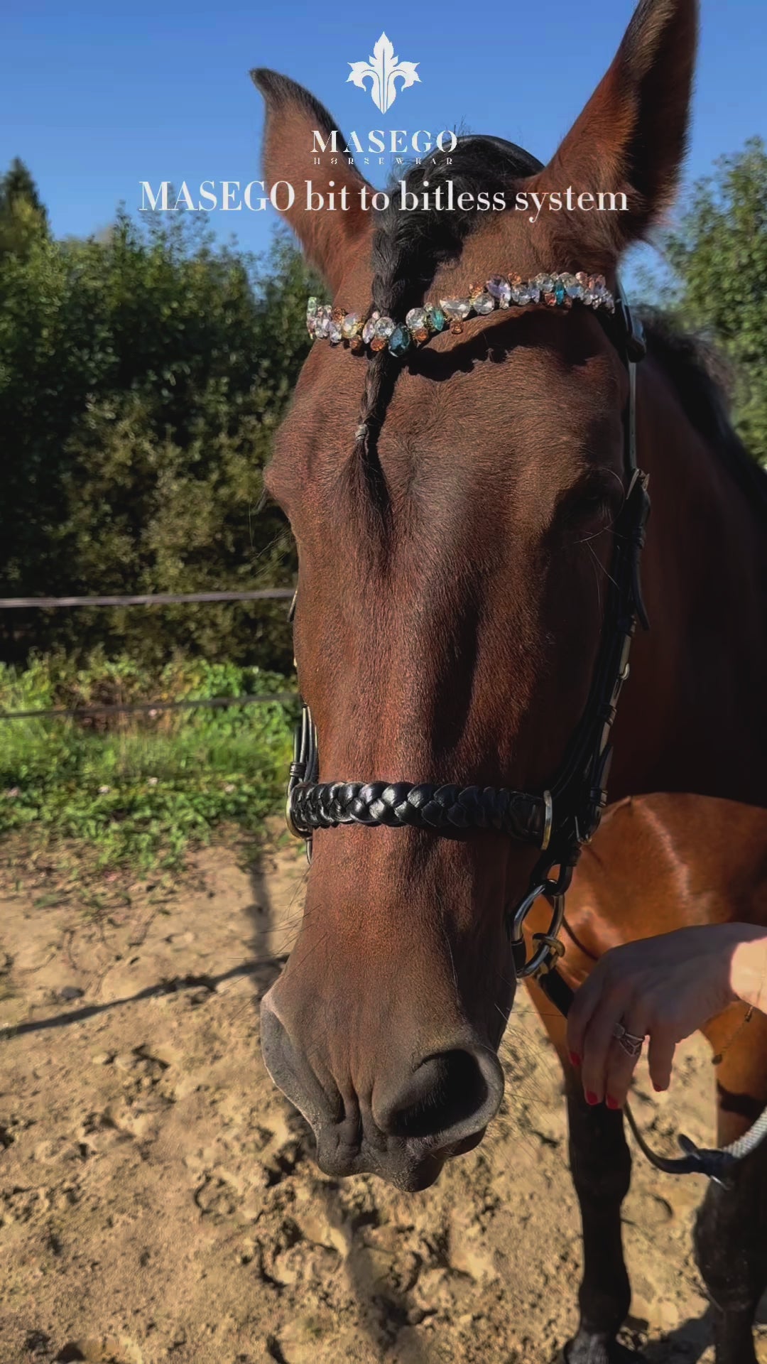 Odessa Bonita Multi bridle - MASEGO bit to bitless system