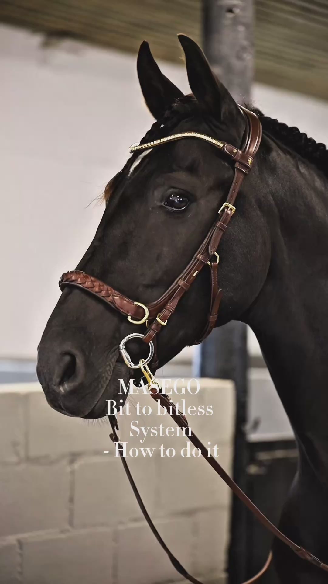 Odessa bonita Multi Bridle padded - MASEGO bit to bitless system