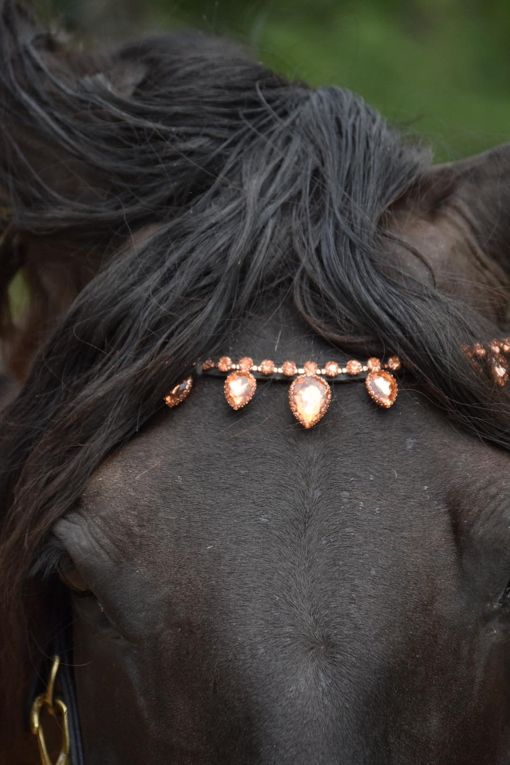 Rosegold raindrop browband with large crystals on black horse, leather strap with embossed logo, elegant equestrian accessory