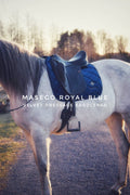 Royal blue velvet dressage saddle pad on white horse with black saddle and beige logo