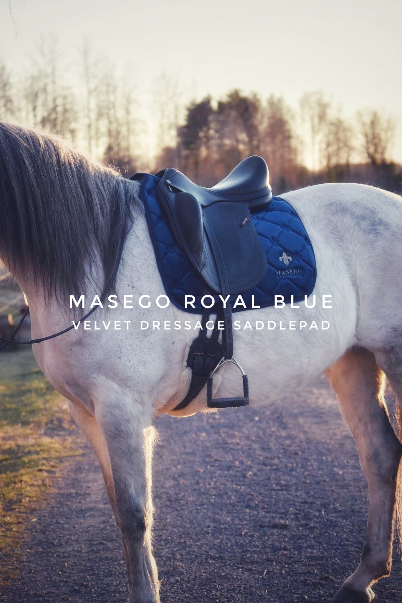 Masego Royal blue velvet dressage saddle pad - MASEGO horsewear