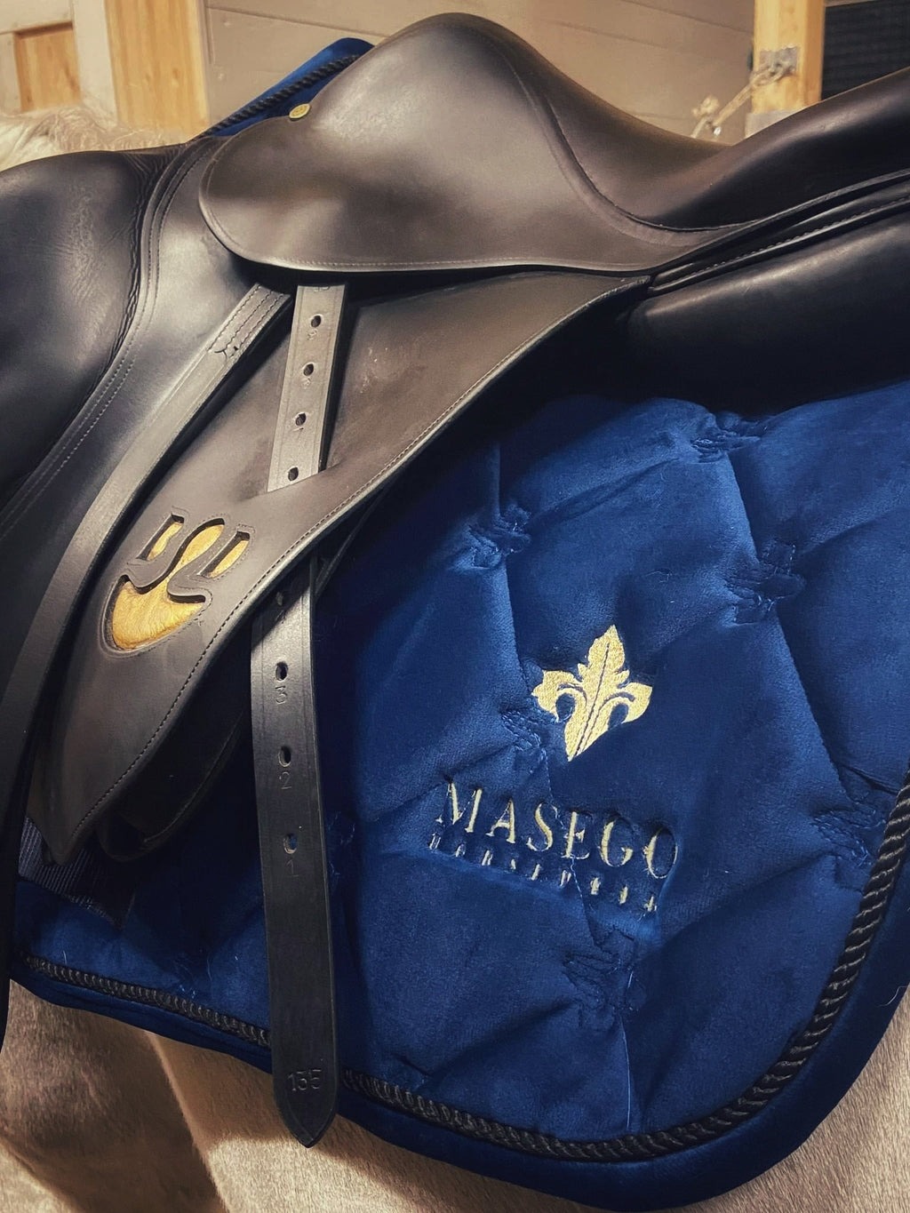 Masego Royal blue velvet jumping saddle pad - MASEGO horsewear