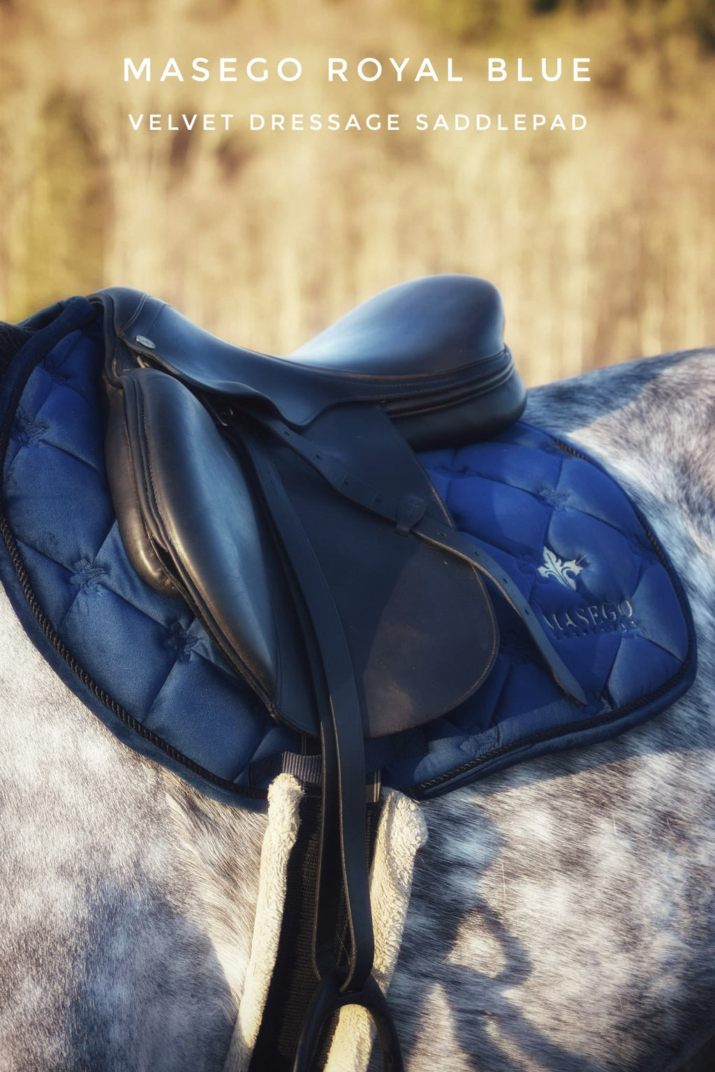 Masego Royal blue velvet jumping saddle pad - MASEGO horsewear