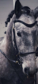 Load image into Gallery viewer, Soft leather browband
