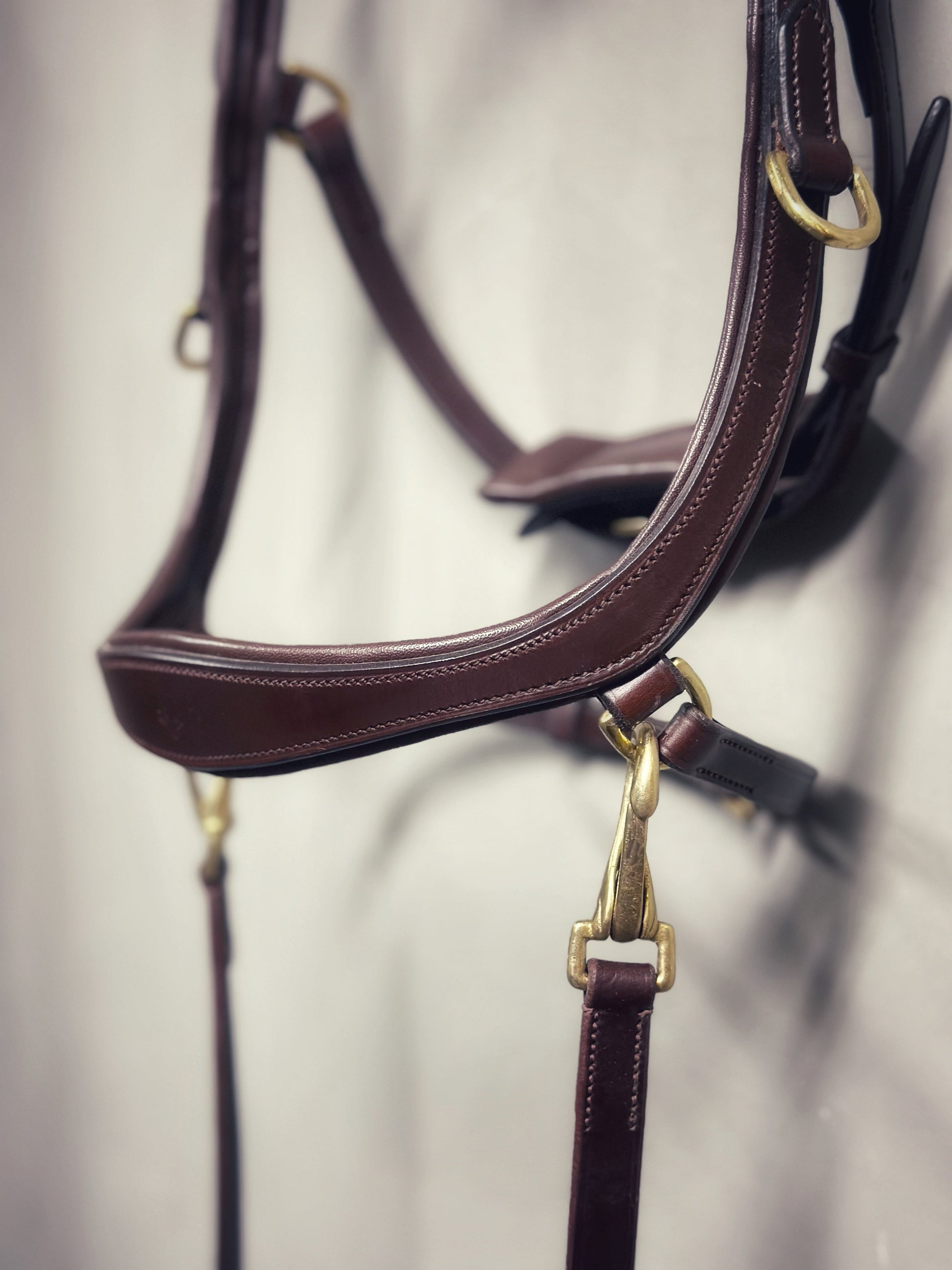 Soñadora Multi Bridle