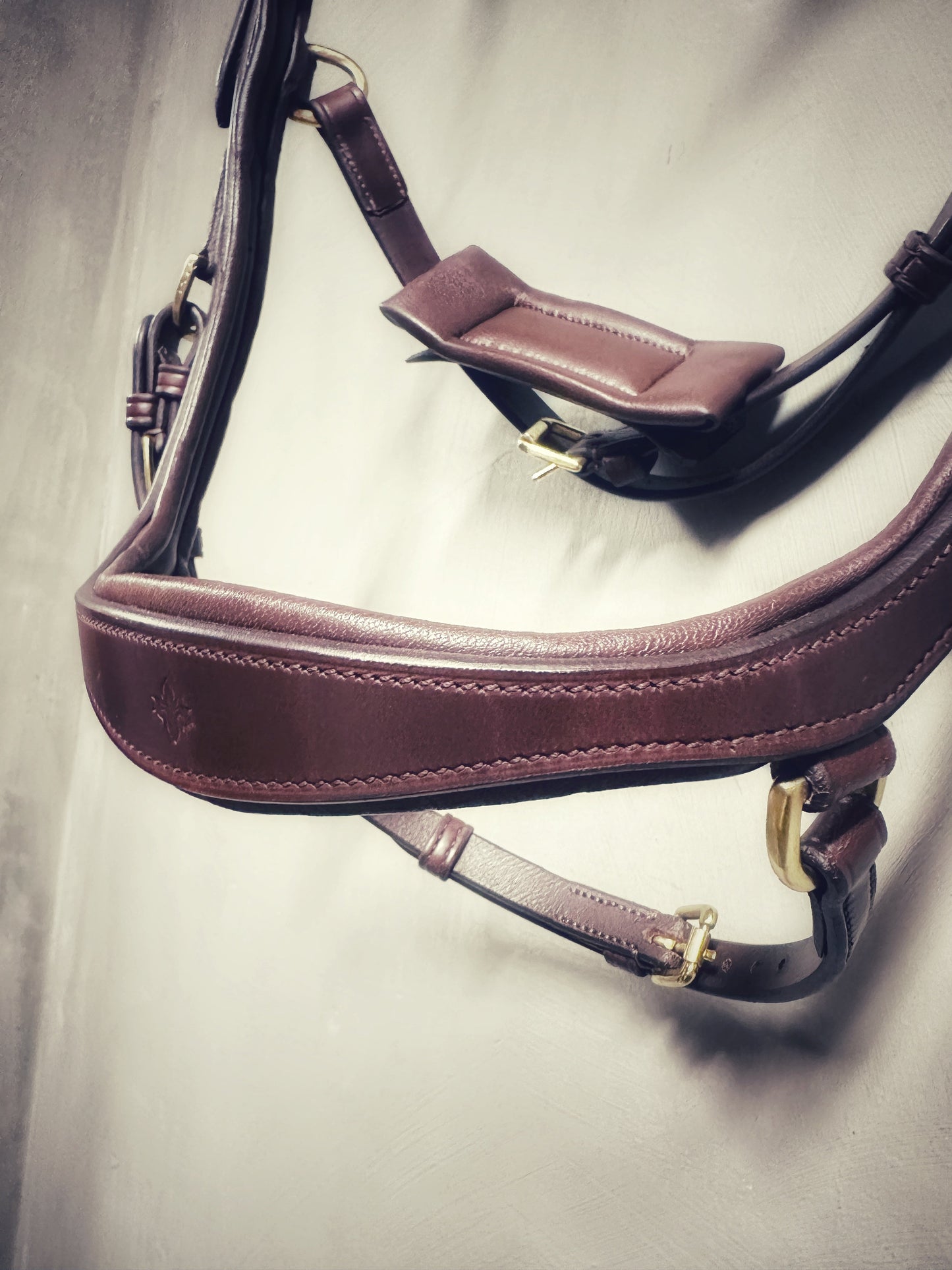 Soñadora Multi Bridle