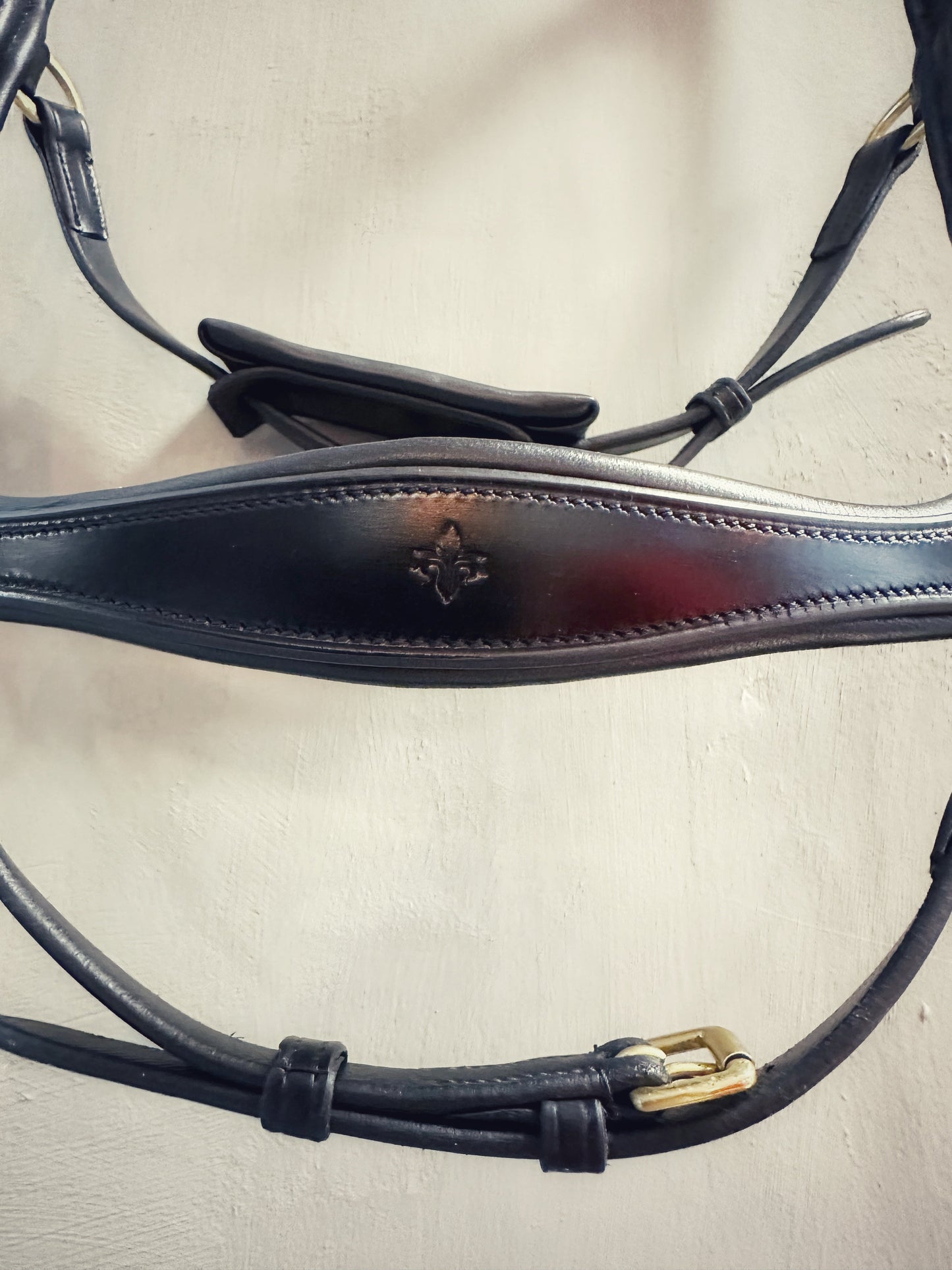 Soñadora Multi Bridle