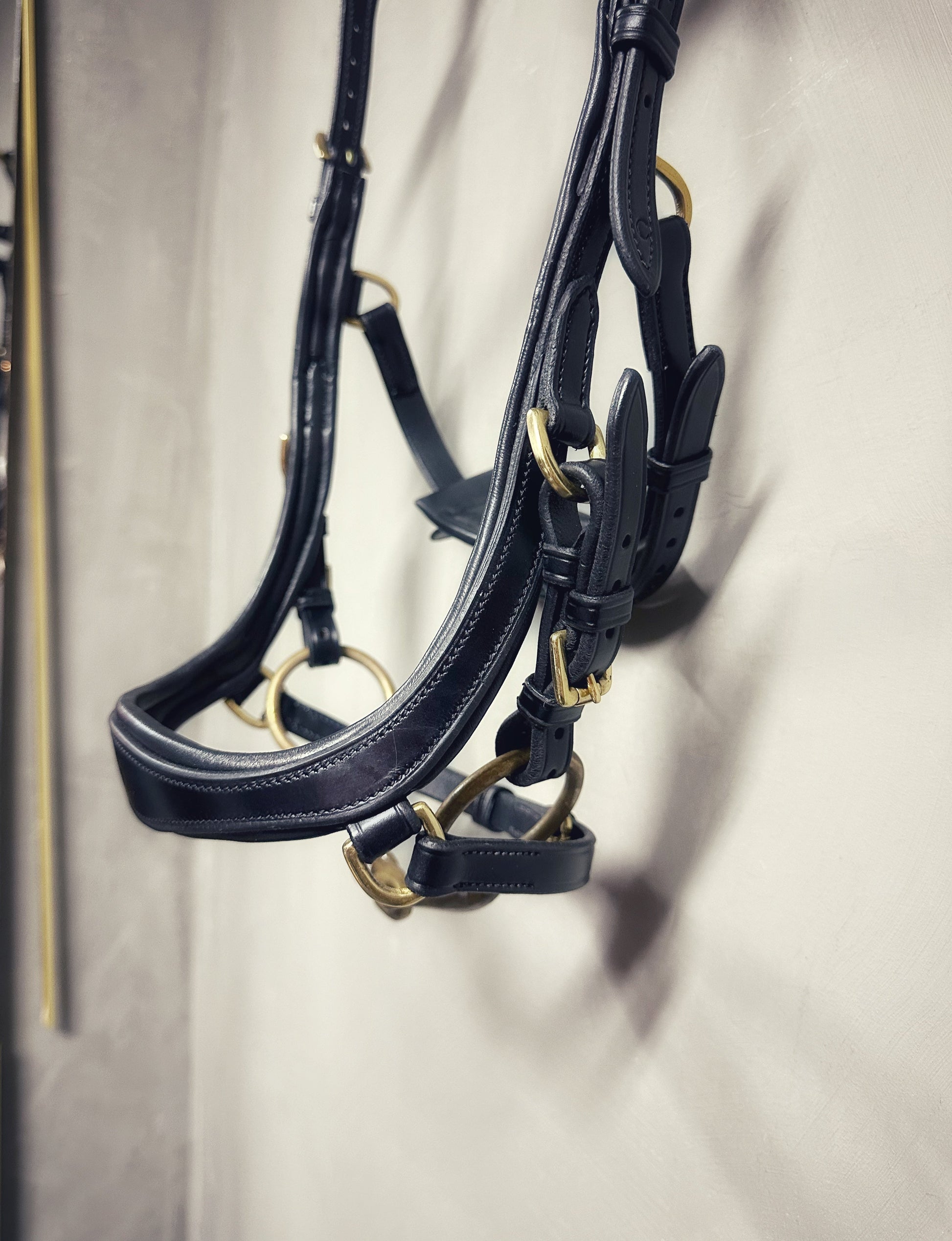 Soñadora Multi Bridle