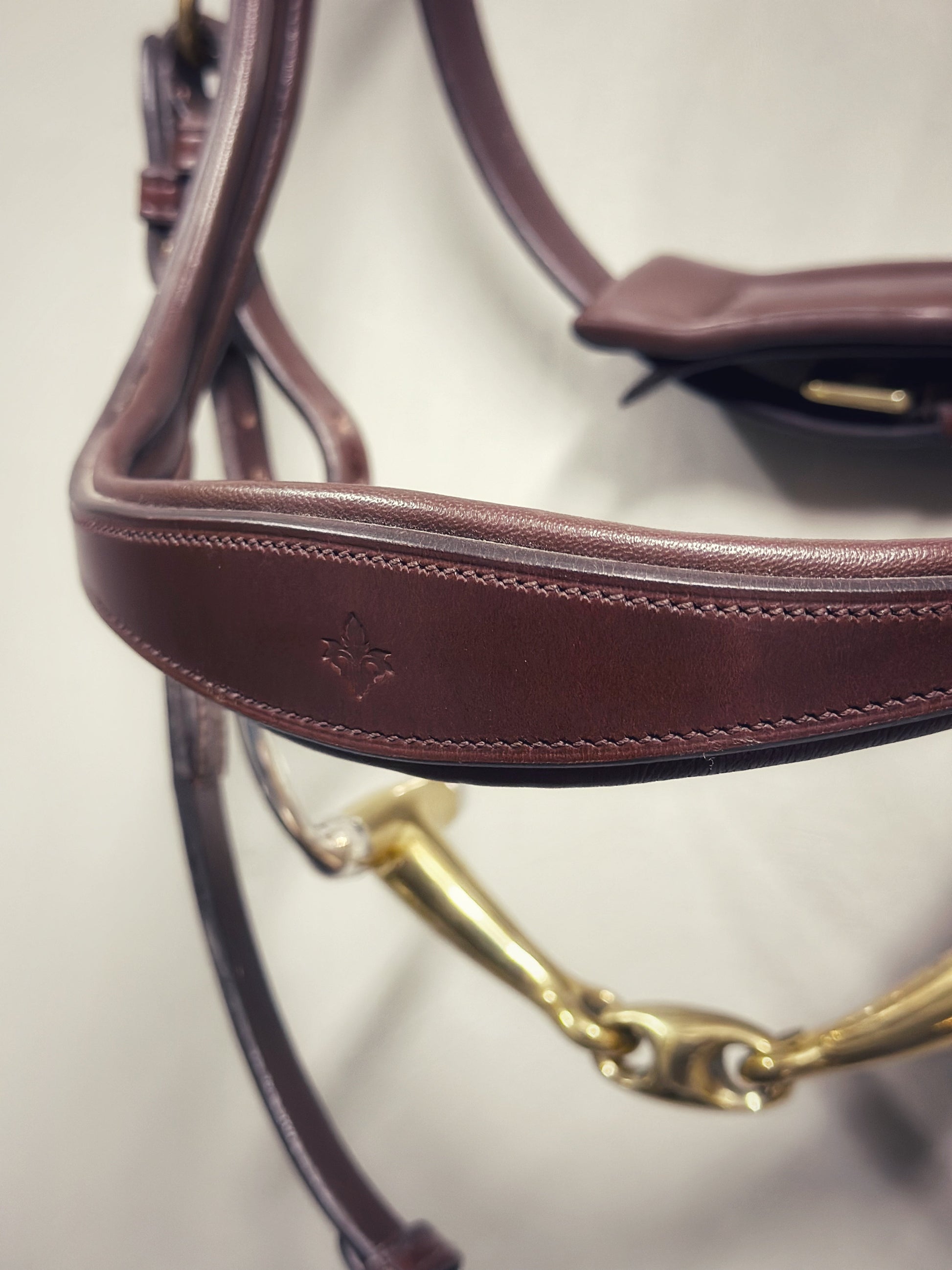 Soñadora Multi Bridle