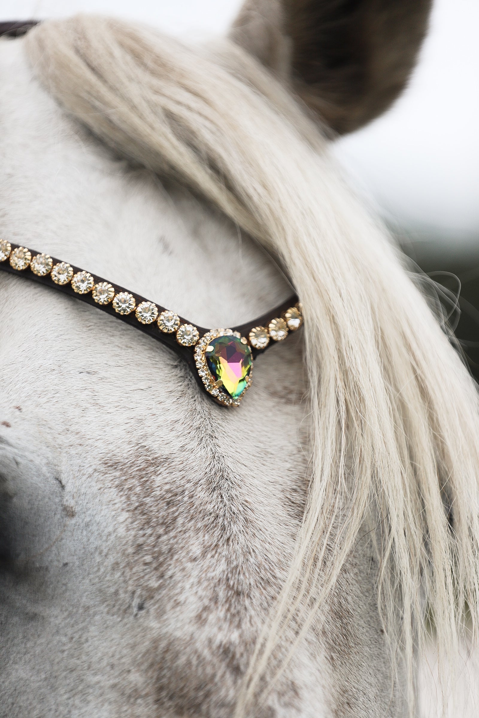 Sonia Browband premium Italian leather headband with clear stones and large Aurora crystal on a horse's forehead