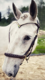 Load image into Gallery viewer, Sonia Browband
