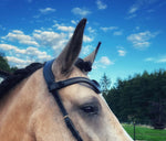 Load image into Gallery viewer, Square plain leather browband
