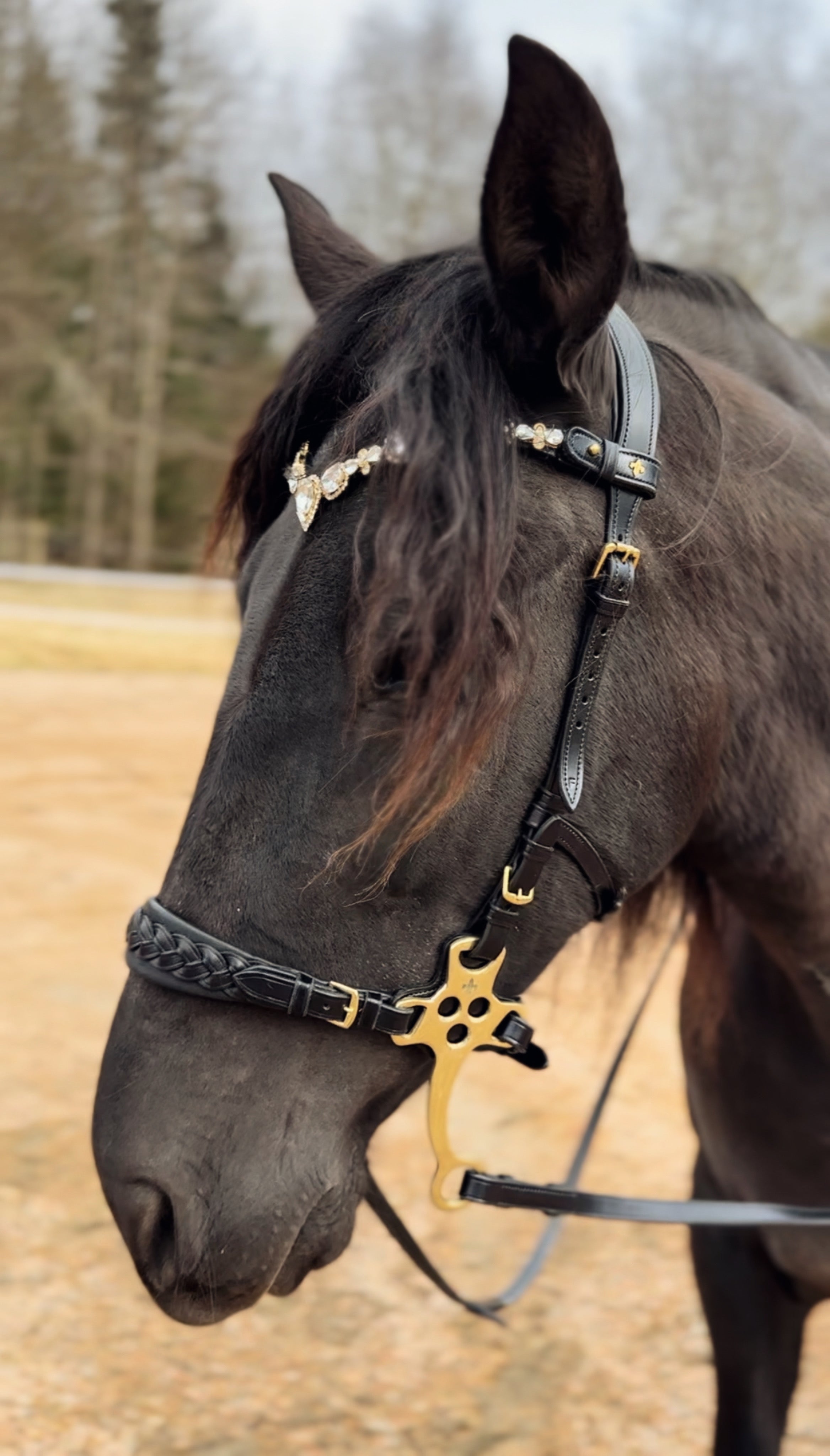 Stardust browband