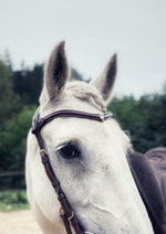 Load image into Gallery viewer, Stella browband

