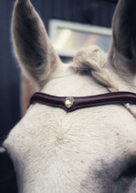 Load image into Gallery viewer, Stella browband
