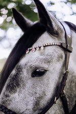 Load image into Gallery viewer, Unicorn Raindrop Browband - MASEGO horsewear
