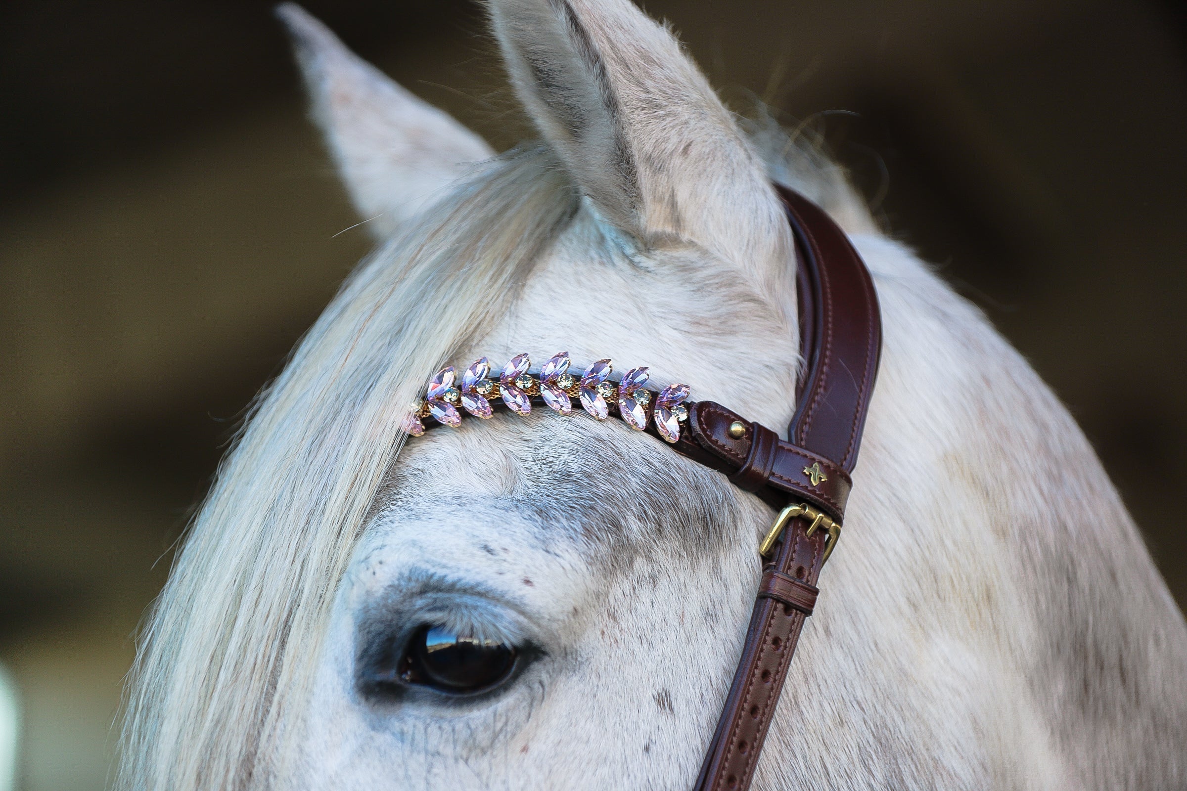 White horse wearing a Viva browband with light pink and clear crystals on Italian leather strap