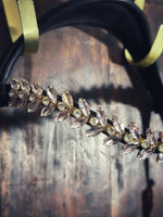 Load image into Gallery viewer, Viva browband
