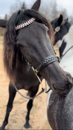 Load image into Gallery viewer, Viva browband
