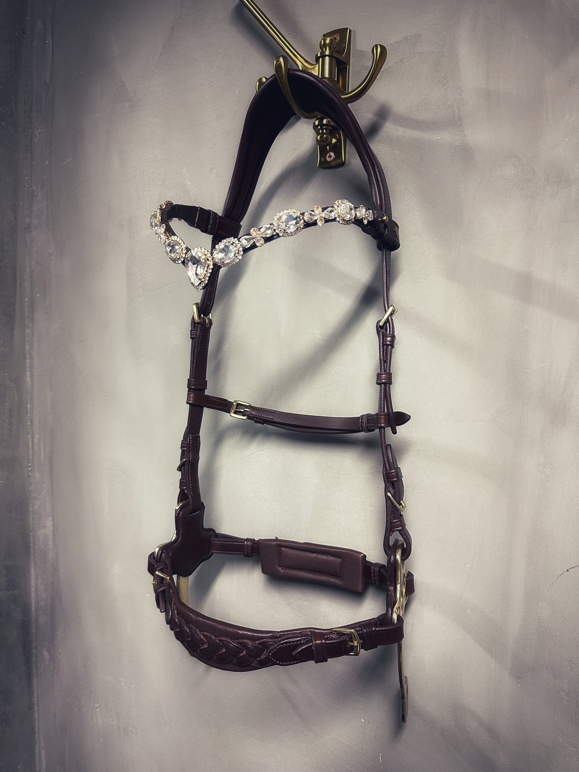 Zoe hackamore Bridle