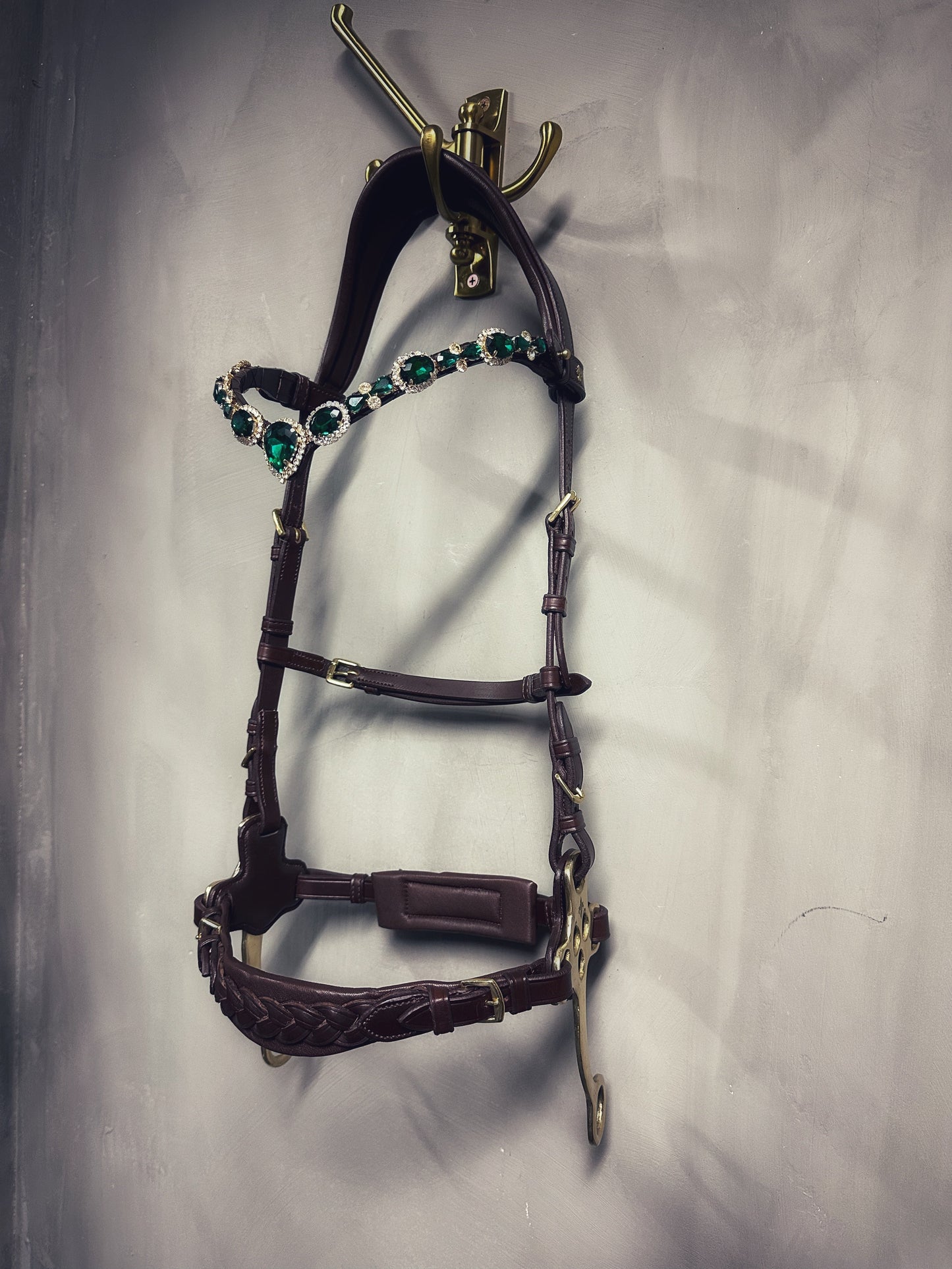 Zoe hackamore Bridle