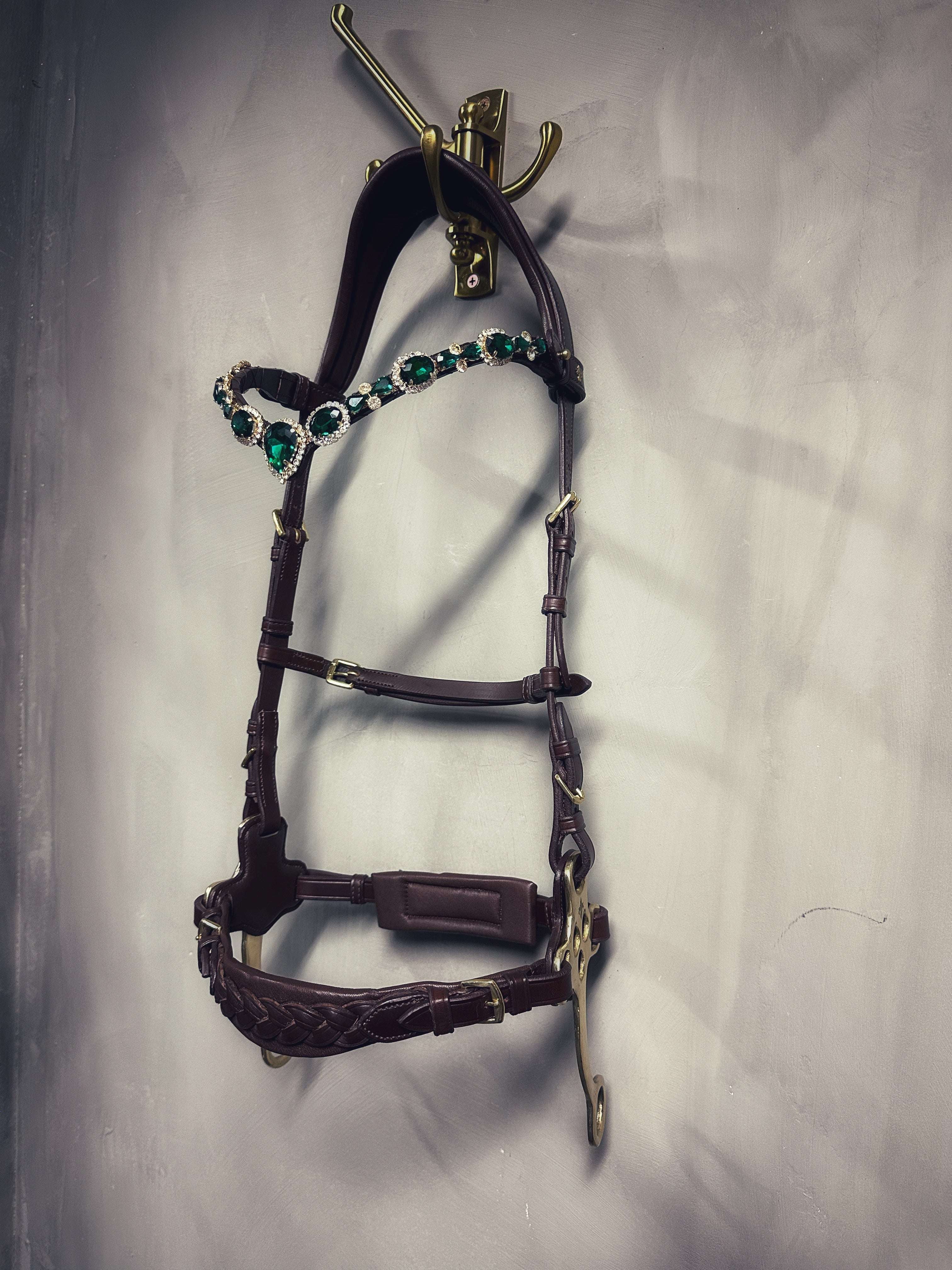 Zoe hackamore Bridle