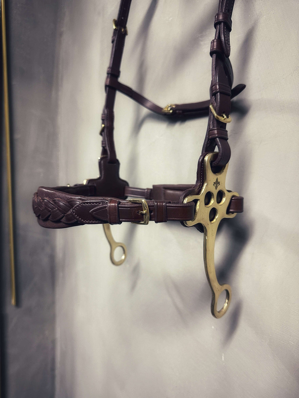 Zoe hackamore Bridle