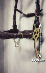 Load image into Gallery viewer, Zoe hackamore Bridle
