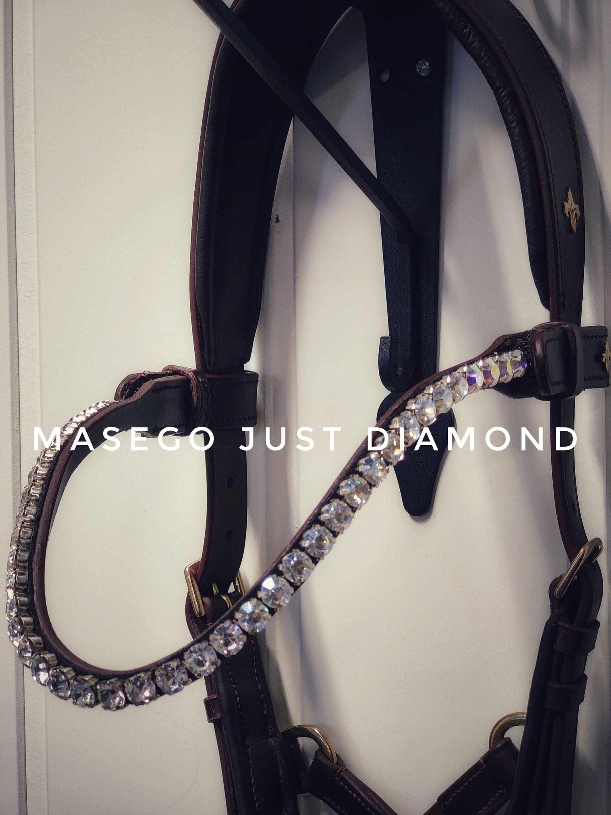Masego Just diamond - MASEGO horsewear