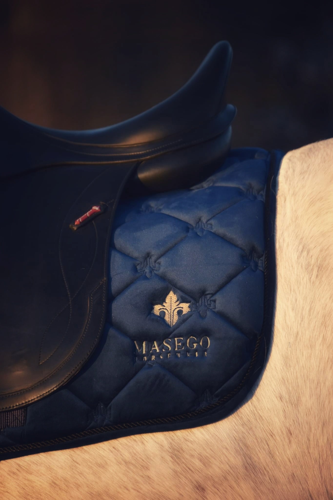 Masego Royal blue velvet jumping saddle pad - MASEGO horsewear