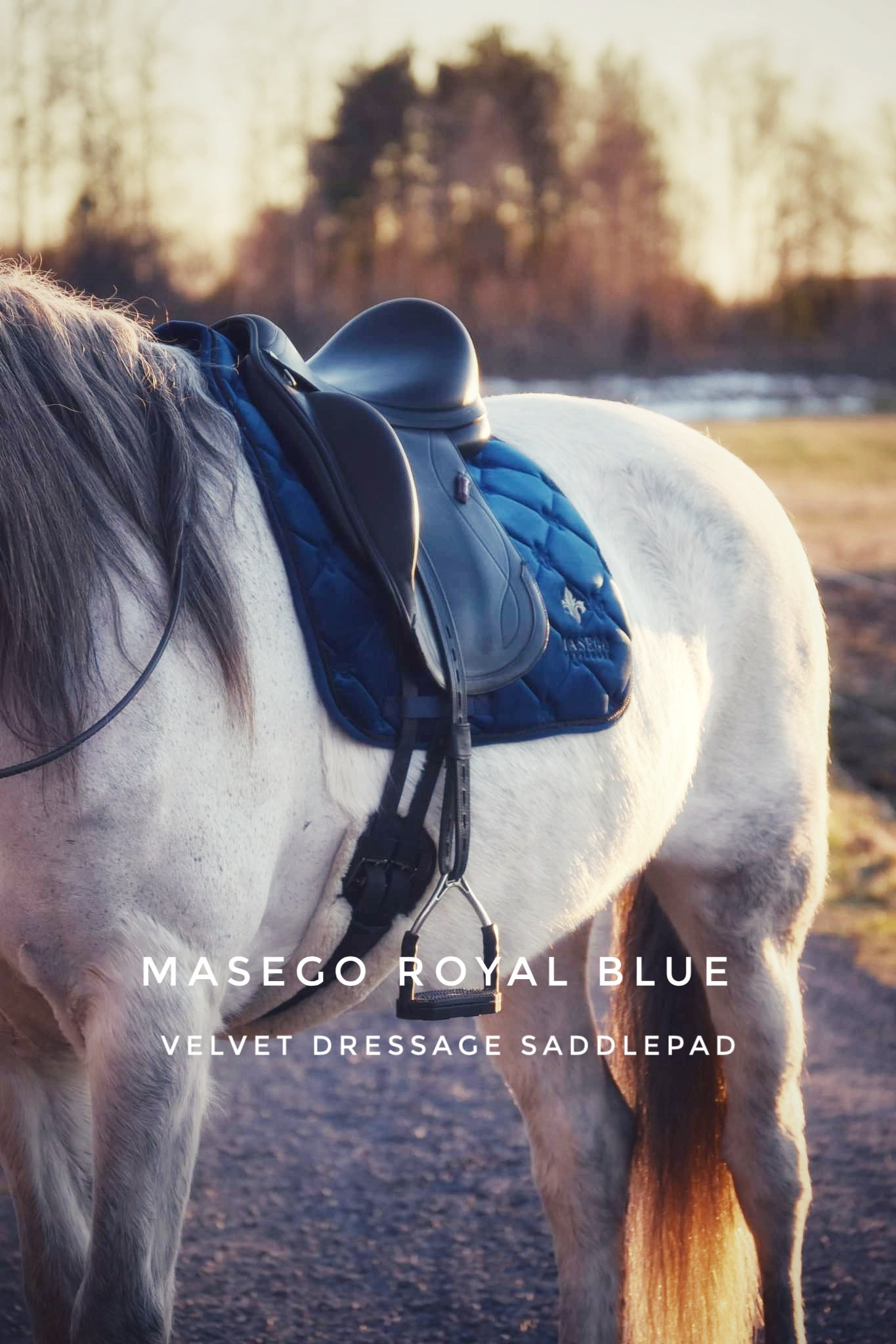 Masego Royal blue velvet dressage saddle pad - MASEGO horsewear